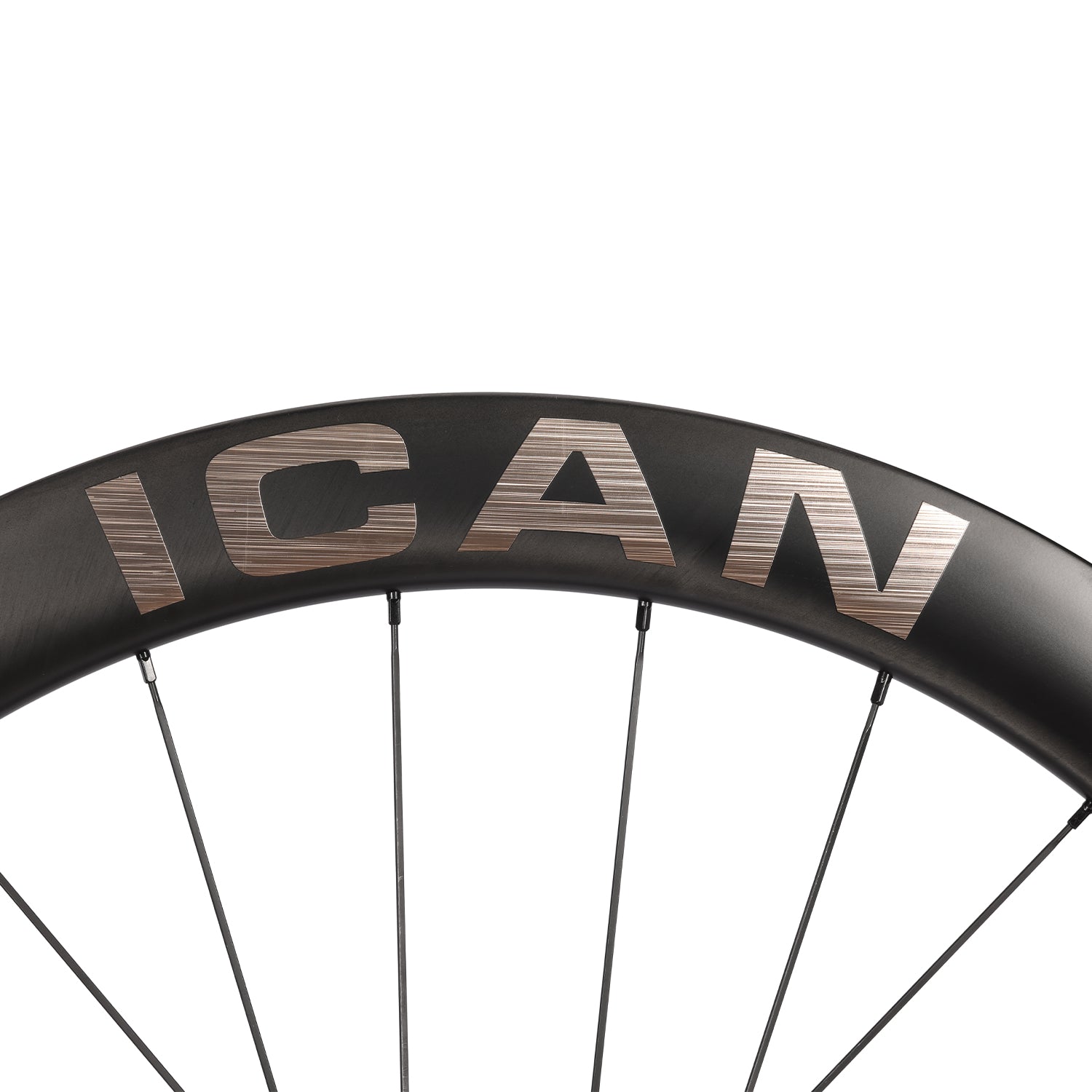 ICAN-Pie-52-3